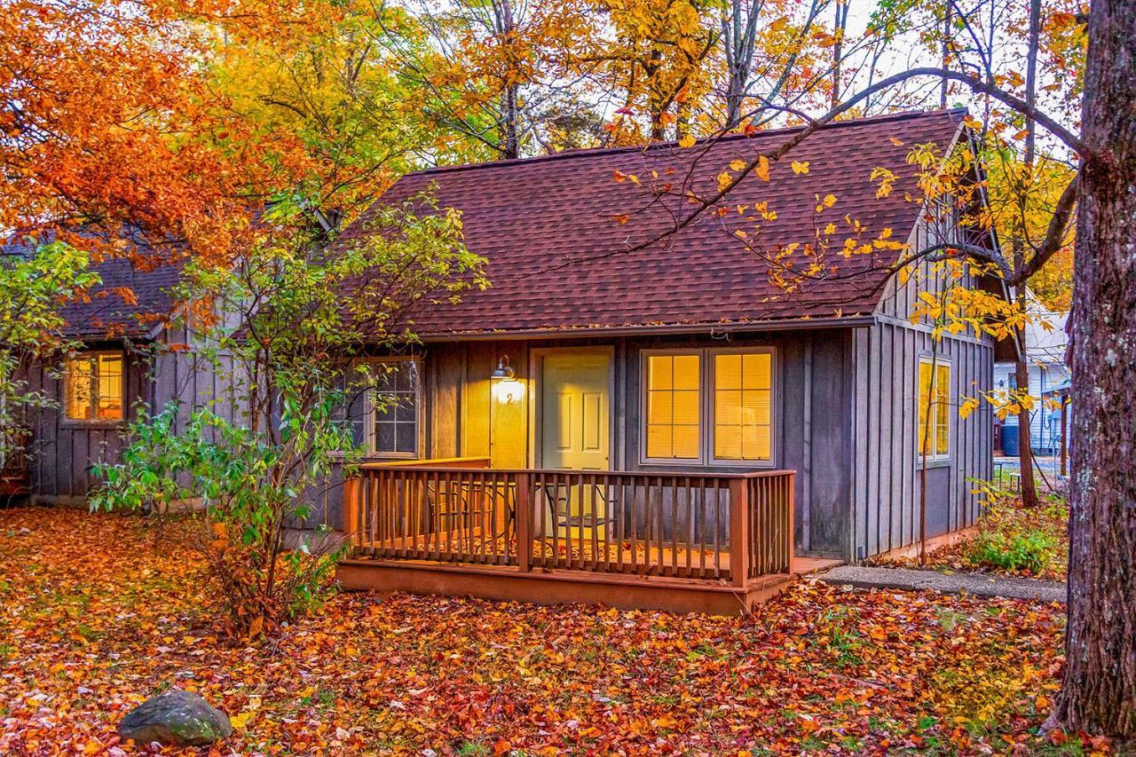Love Ridge Mountain Lodging Lyndhurst Buitenkant foto