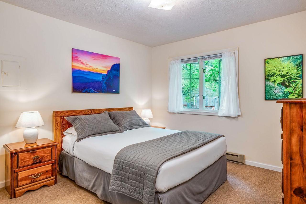 Love Ridge Mountain Lodging Lyndhurst Buitenkant foto