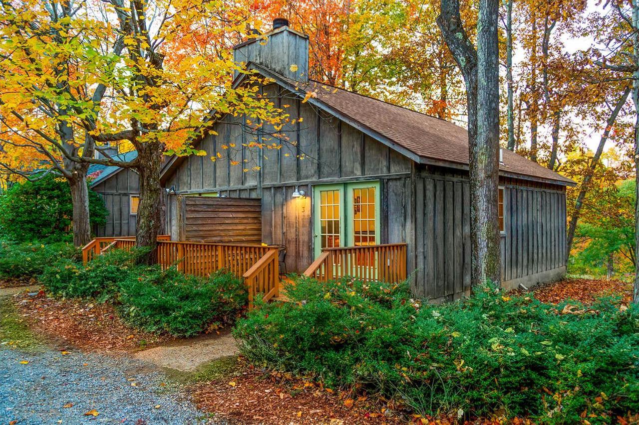 Love Ridge Mountain Lodging Lyndhurst Buitenkant foto