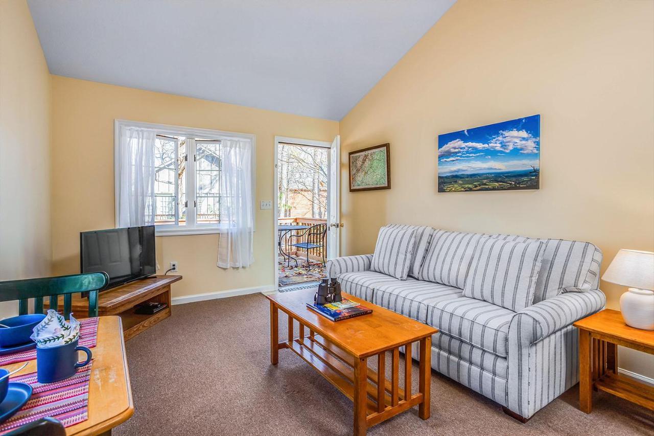 Love Ridge Mountain Lodging Lyndhurst Buitenkant foto
