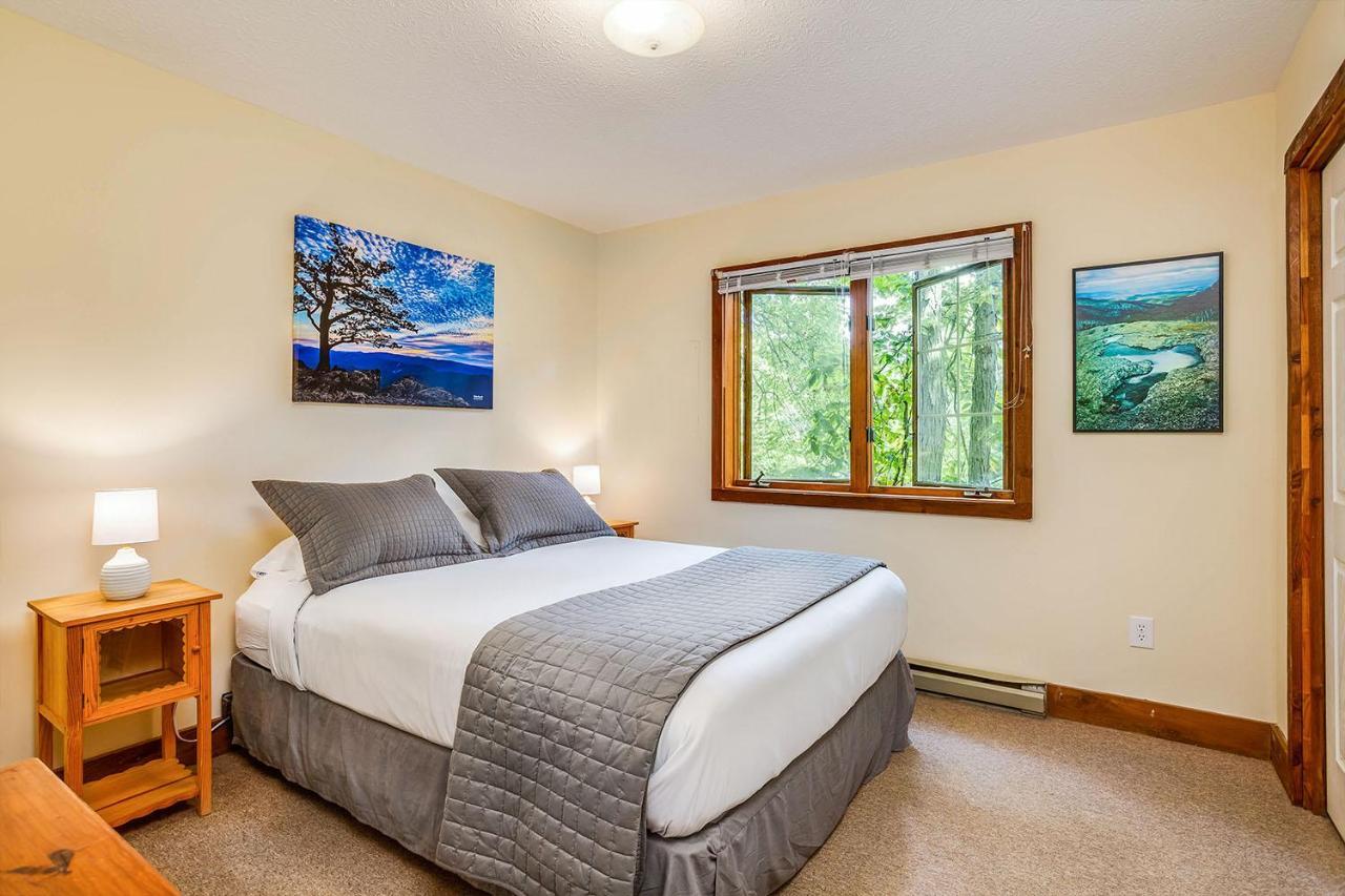 Love Ridge Mountain Lodging Lyndhurst Buitenkant foto