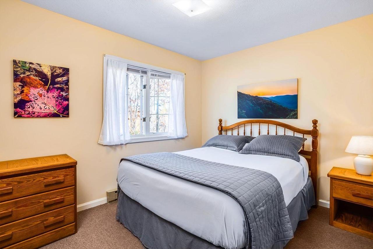 Love Ridge Mountain Lodging Lyndhurst Buitenkant foto