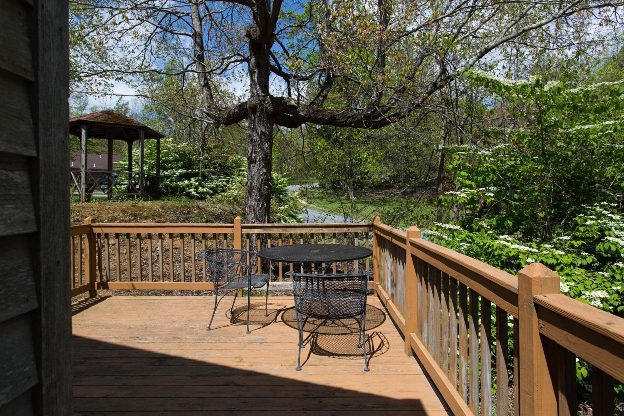 Love Ridge Mountain Lodging Lyndhurst Buitenkant foto