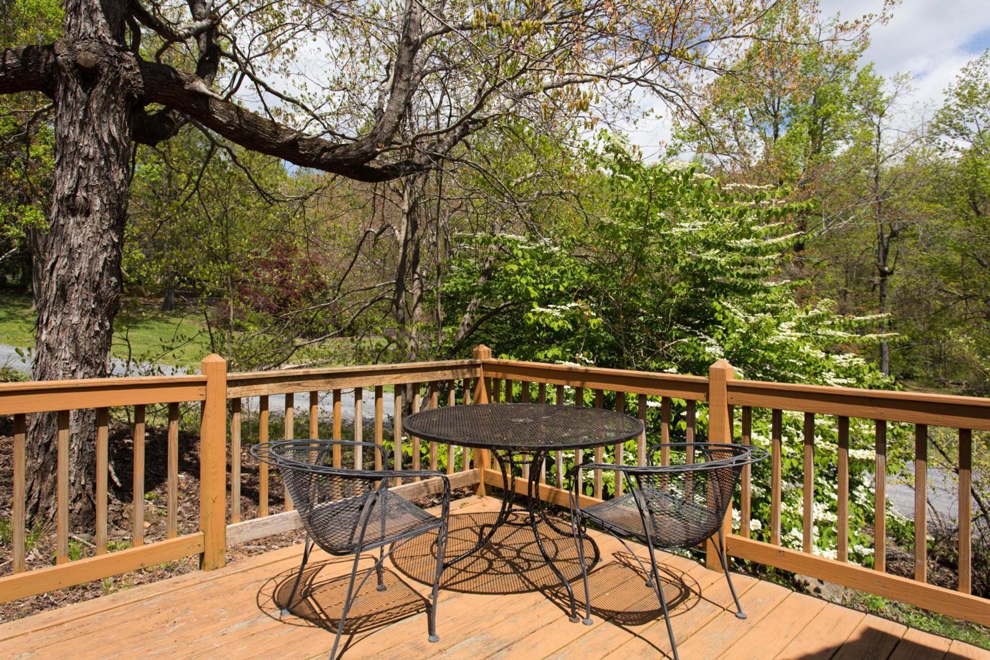 Love Ridge Mountain Lodging Lyndhurst Buitenkant foto